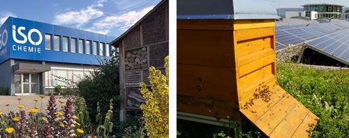 Bienenstock und Insektenhotel